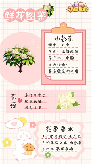 我的花园世界