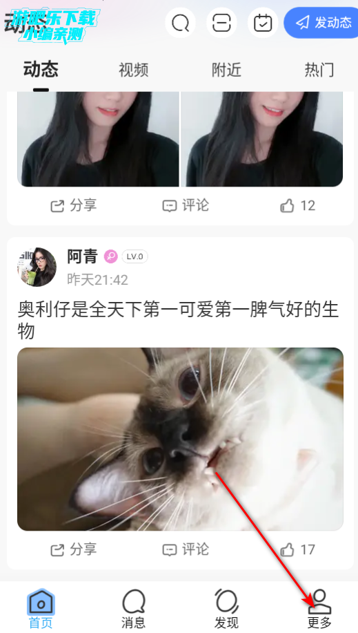 活力岛交友平台官方版