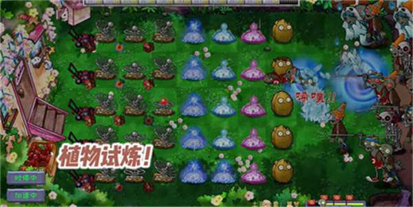 植物大战僵尸共生版1.0.1