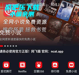网飞猫官方正版