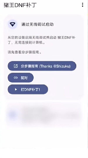 猪王DNF补丁