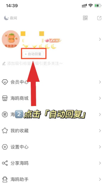 海鸥交友