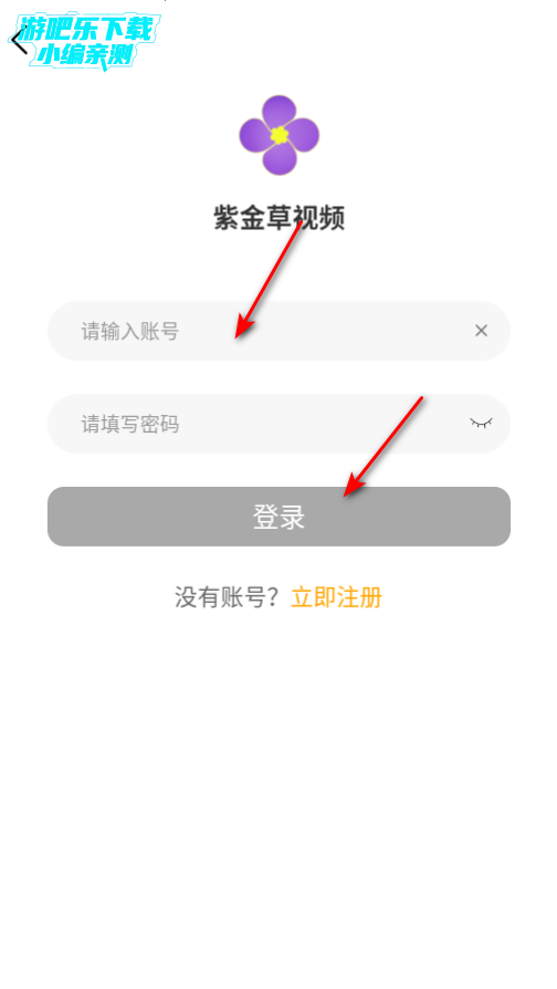 紫金草视频官方下载