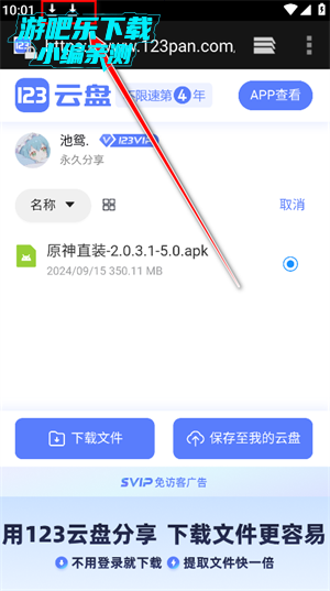 池鸳启动插件