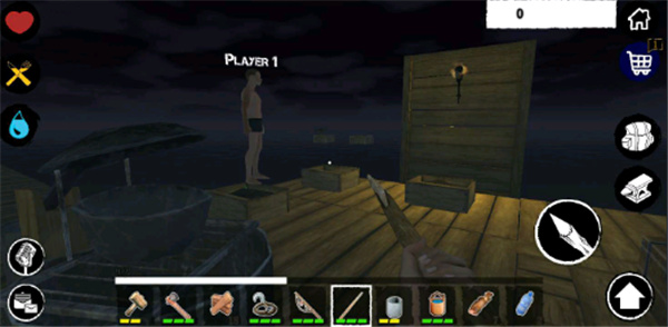 Survive on Raft