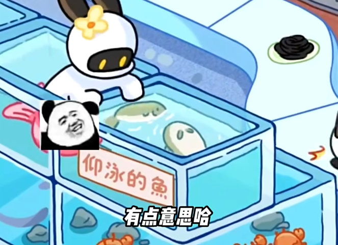 兔克创业记