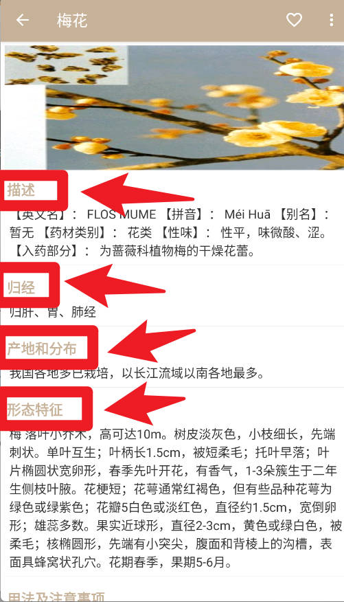 中草药宝典