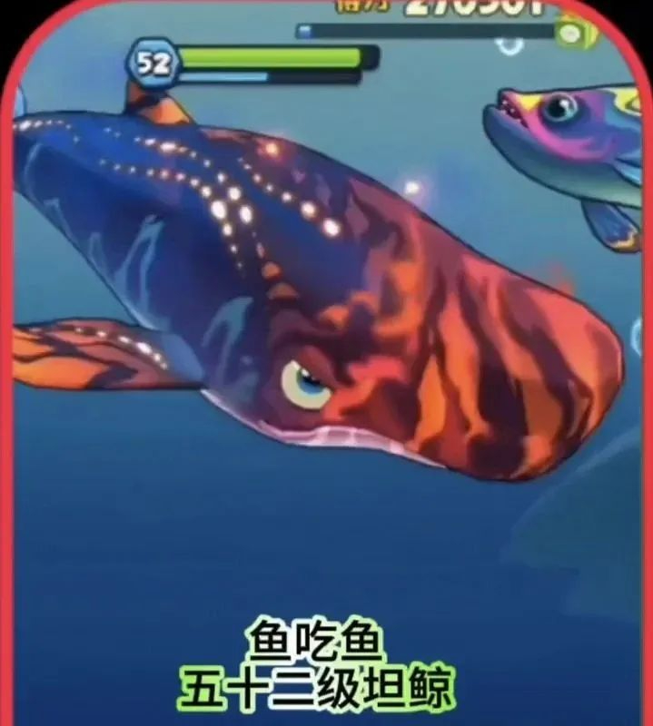 鱼吃鱼国际服