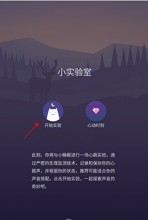 小睡眠