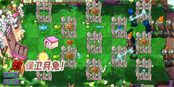 植物大战僵尸共生版1.0.1