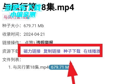 磁力宝
