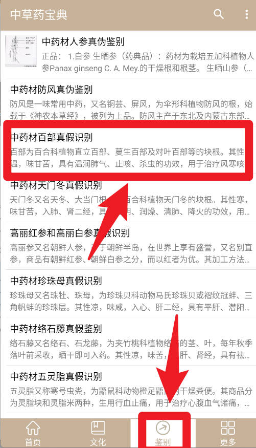 中草药宝典