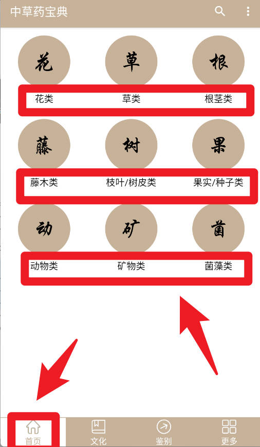 中草药宝典