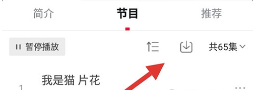 云听app