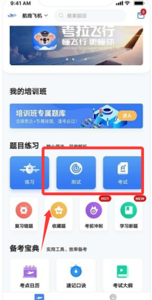 考拉飞行