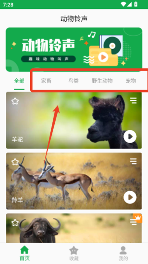 动物叫声之家