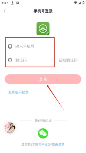 云帆小说