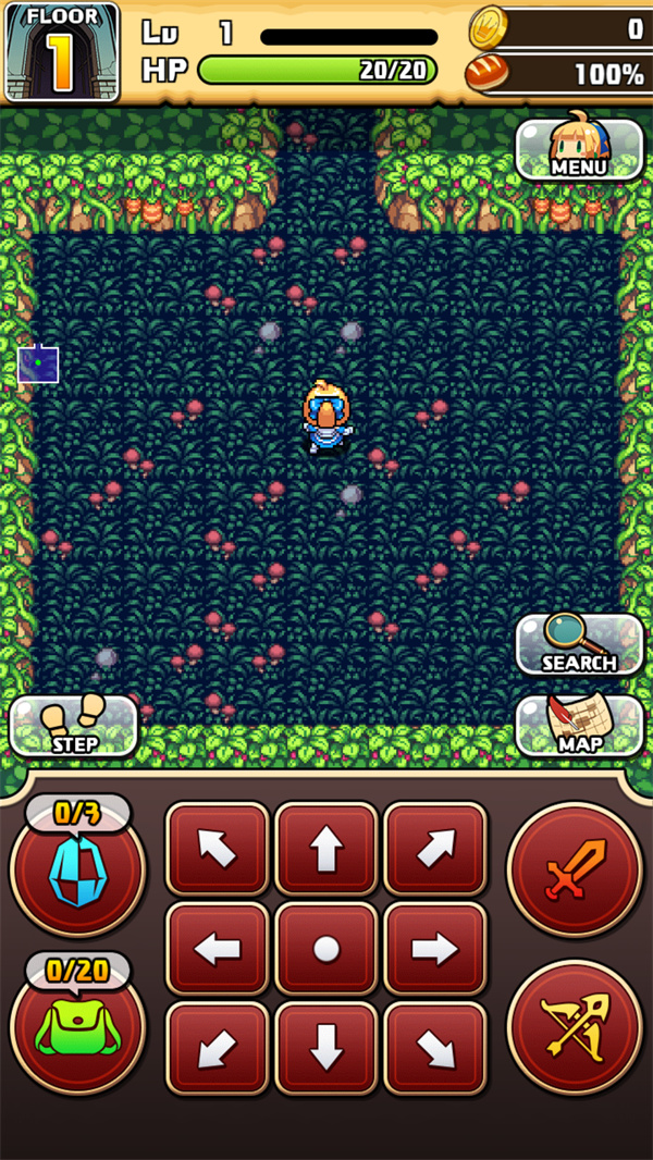 魔女的迷宫DX