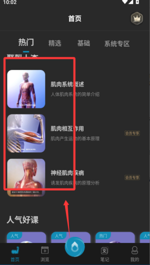 3d肌肉解剖