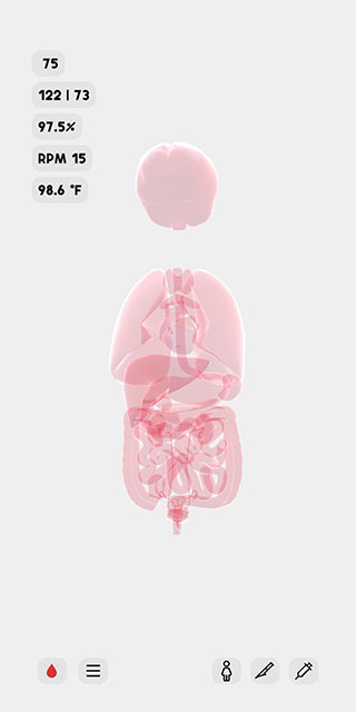生命life模拟器