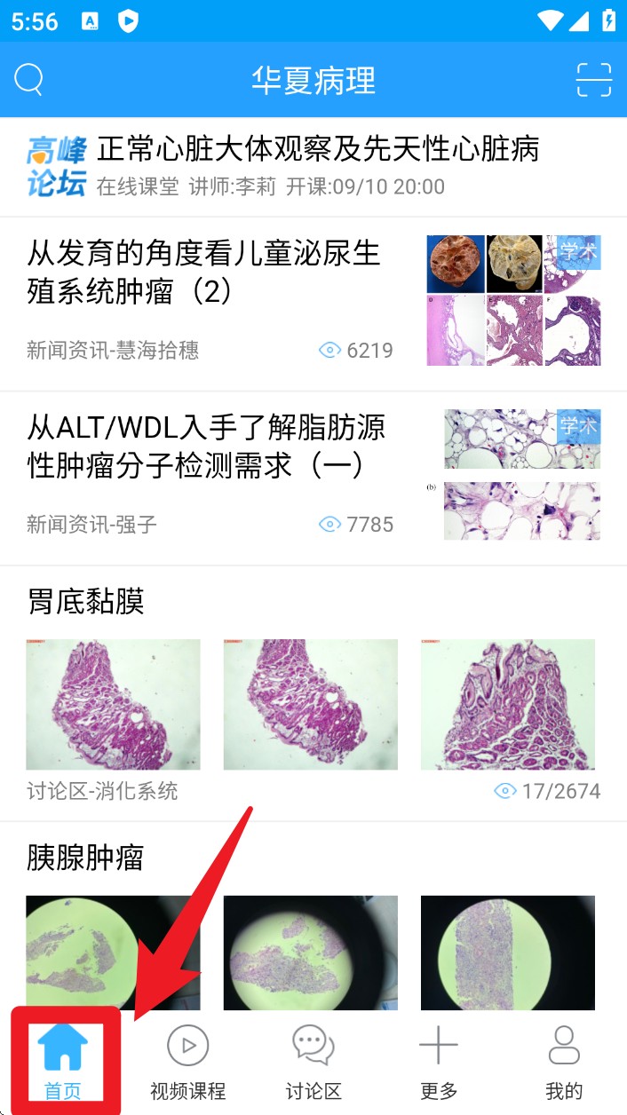 华夏病理