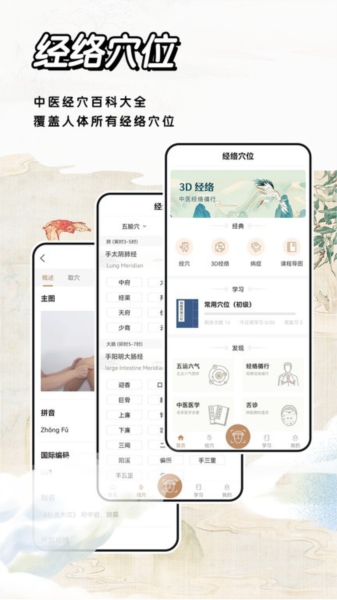 经络穴位标准指南