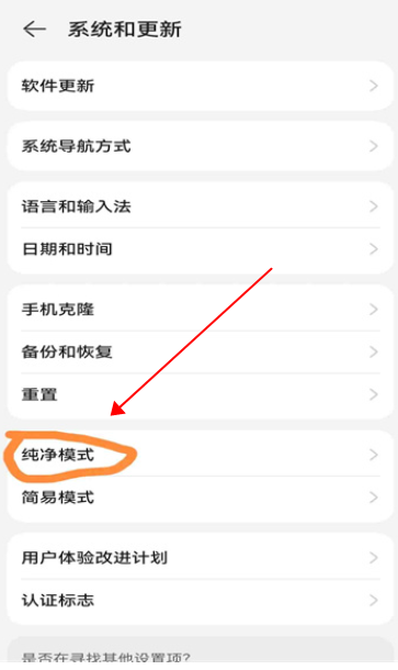 网飞猫
