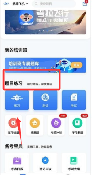 考拉飞行