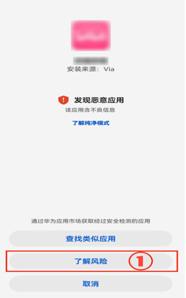 网飞猫