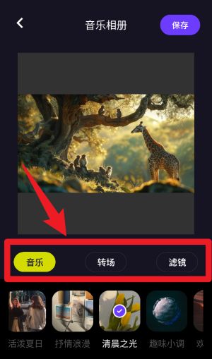 VSCO编辑器