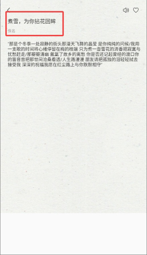 洋柿子