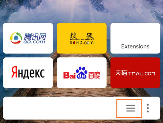 盐蛋俄罗斯浏览器最新版(yandex)