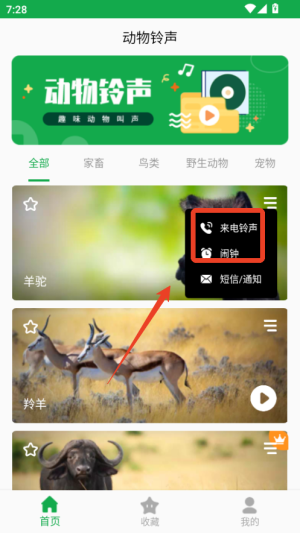 动物叫声之家