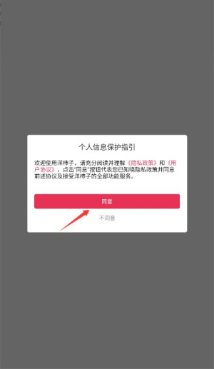 洋柿子