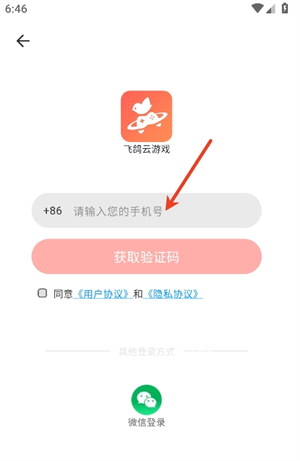 飞鸽云游戏
