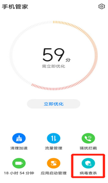 网飞猫