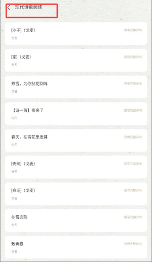 洋柿子