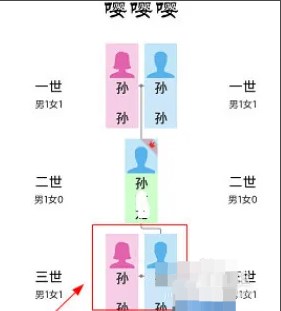 族记