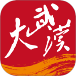 大武汉客户端v7.6.6