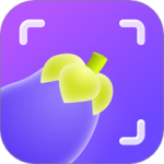 茄子水印相机免费版v2.1.0.2