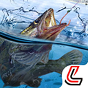 天天钓鱼免登录官方最新正版v1.9