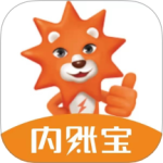 内账宝最新版v3.9.3