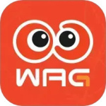 看个比赛最新版v2.2.3