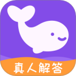 准准塔罗牌appv2.2.2
