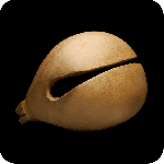 木鱼最新版v1.2.25