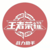 王者战力助手最新版v1.0