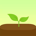 Forest专注森林手机安卓版v4.94.0
