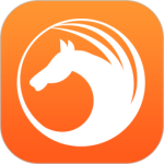天马浏览器app手机版v1.3.0.1001