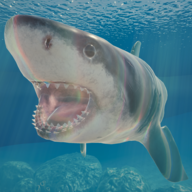Shark安卓官网版v1.1.0
