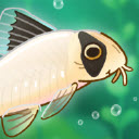 池趣Pondlife安卓最新版v1.12.7